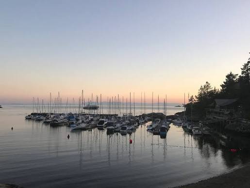 Eagle Harbour, West Vancouver, homes and setting
