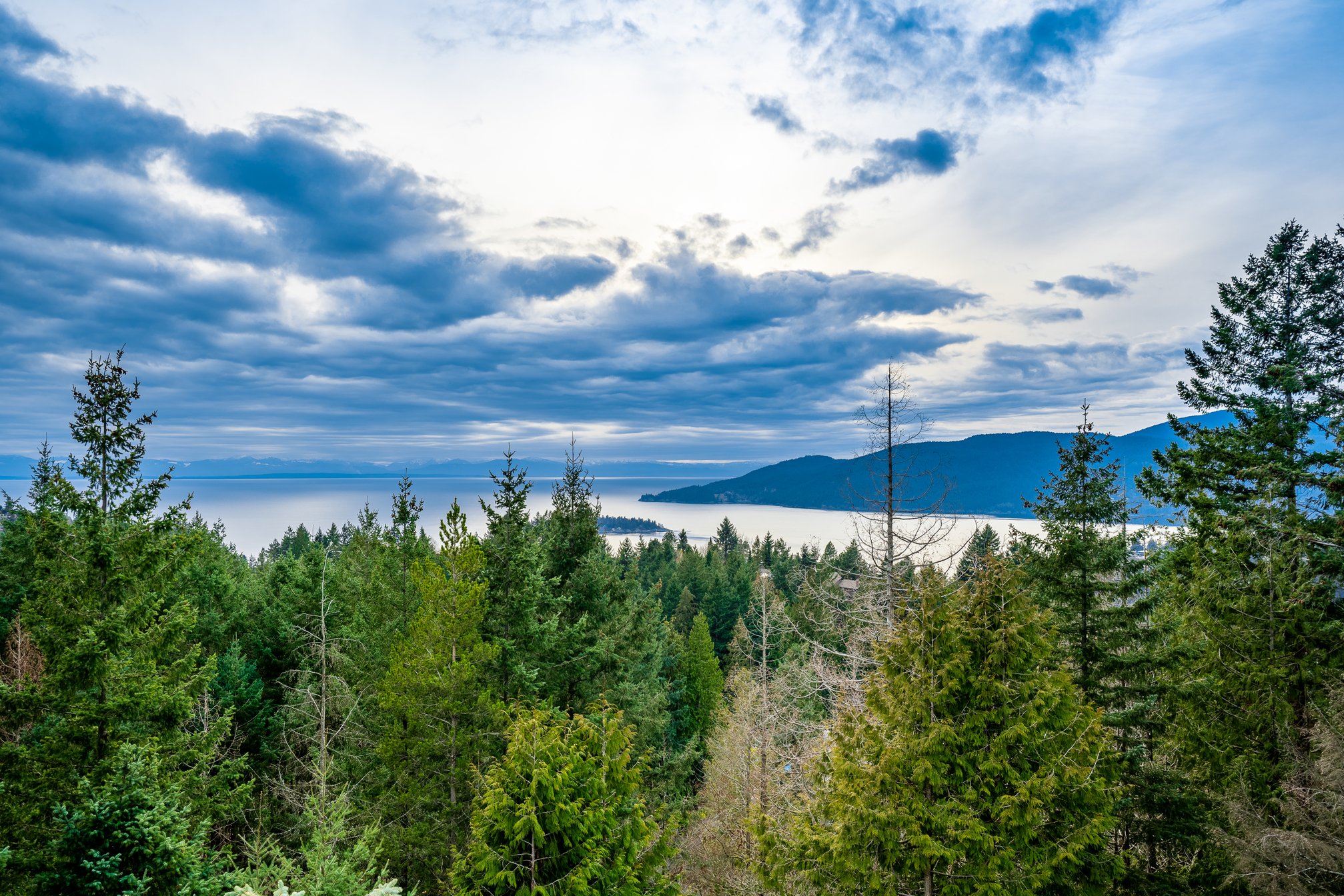 4667 Woodridge Place, Cypress Park Estates, West Vancouver – photo 16